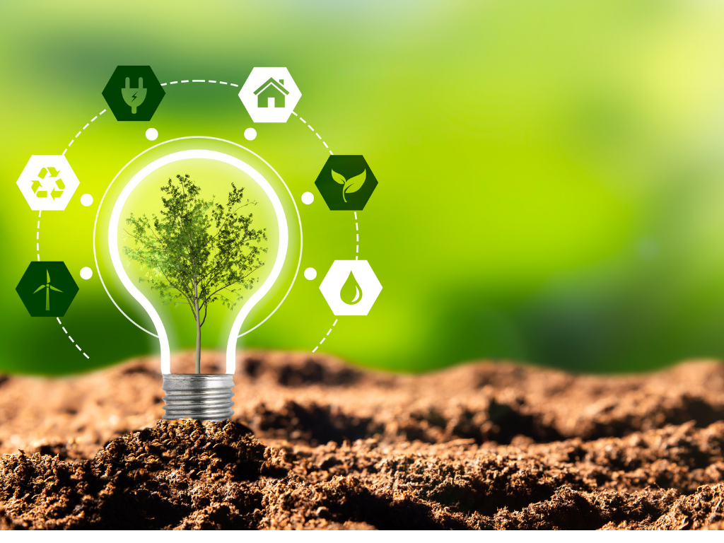 Energy  lightbulb in dirt_png